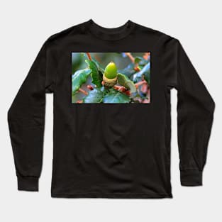 bolotinha Long Sleeve T-Shirt